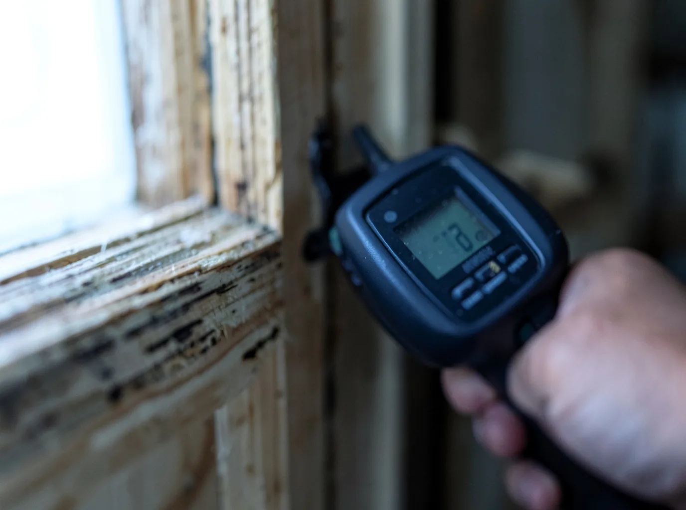 Moisture Inspection And Documentation in Morehouse, MO
